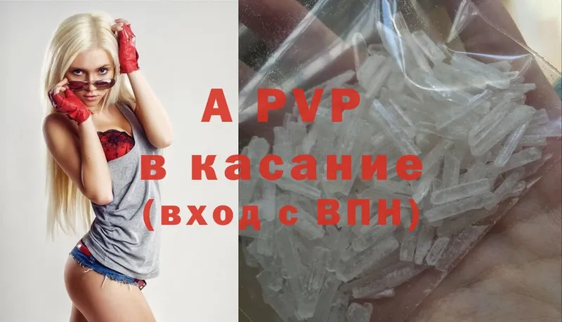 A PVP СК КРИС  Гулькевичи 